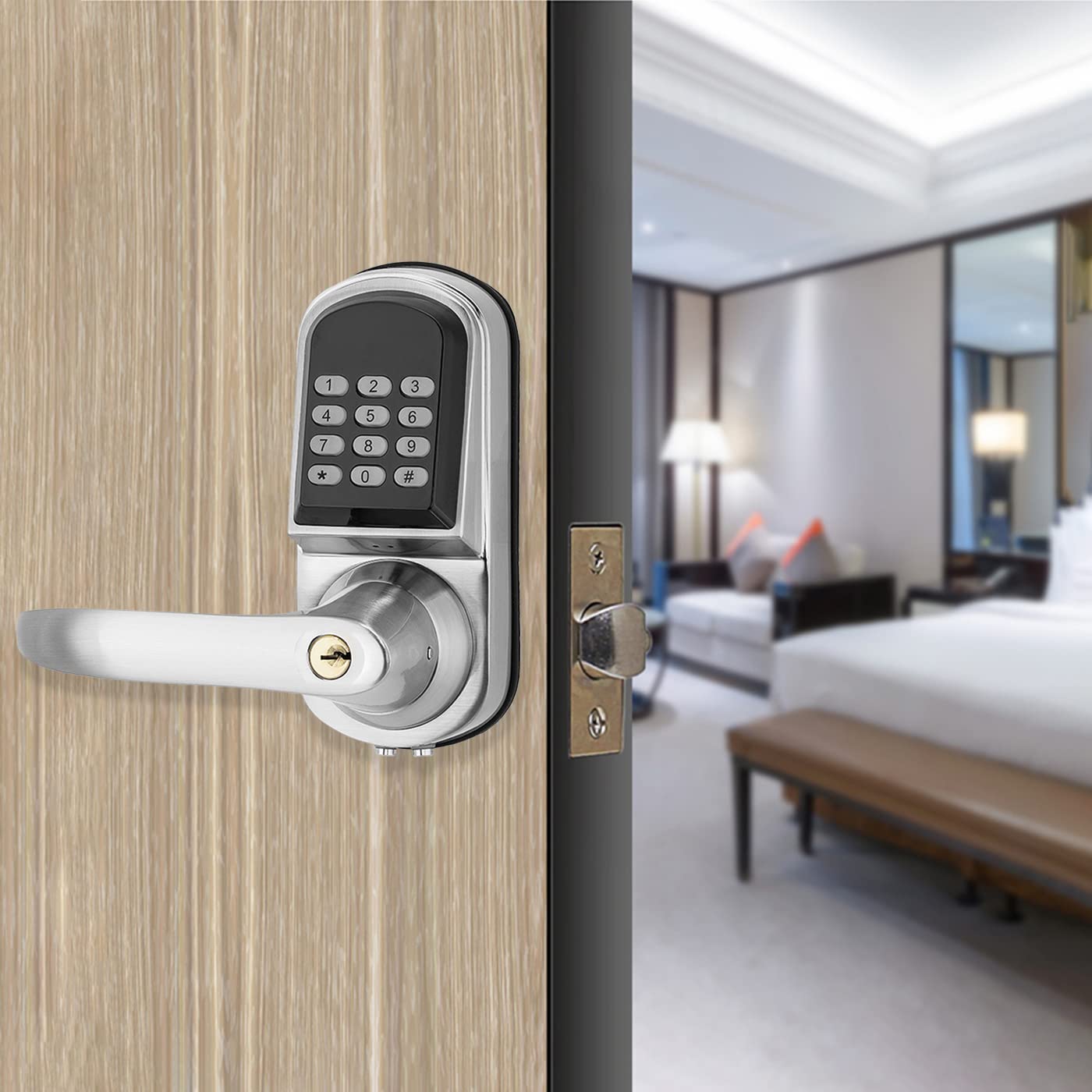 Высококачественный цифровой дв – обзор и цена Door Handle